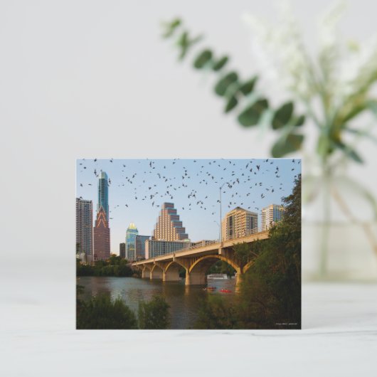 Austin, Texas met vleermuizen Briefkaart (Staand voorkant)