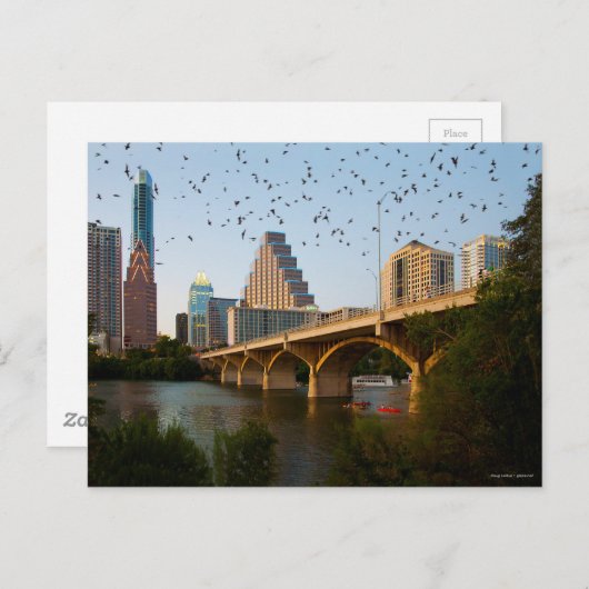 Austin, Texas met vleermuizen Briefkaart (Voorkant / Achterkant)