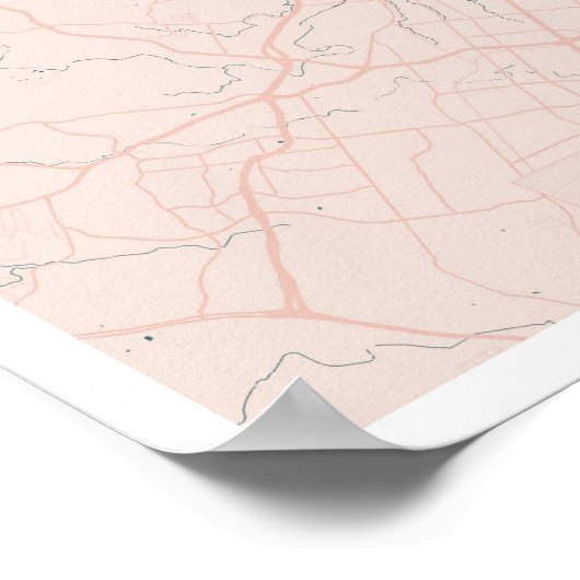 Austin Texas Pink and Blue Cute Script Street Map Poster (Hoek)