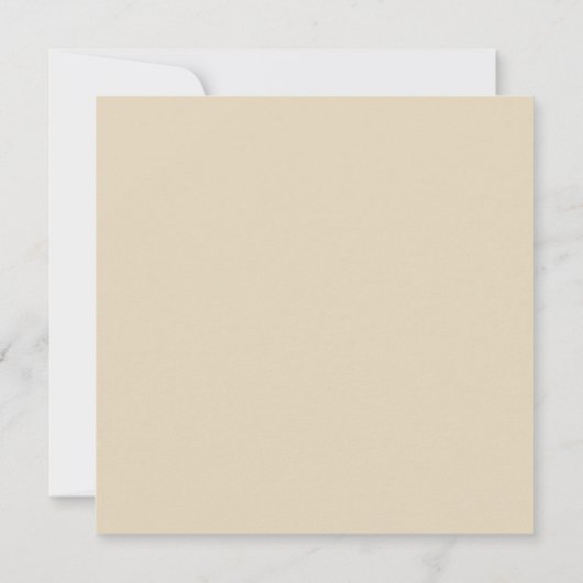 Austin Texas Skyline SG-Safari Buff Save The Date (Achterkant)