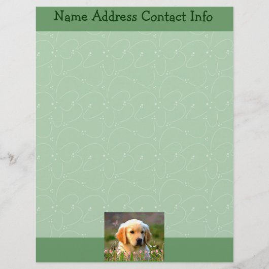 Austin The Golden Labrador Briefhoofd Sjabloon (Voorkant)