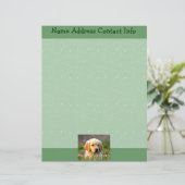 Austin The Golden Labrador Briefhoofd Sjabloon (Staand voorkant)