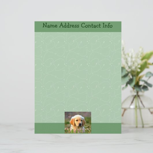 Austin The Golden Labrador Briefhoofd Sjabloon (Staand voorkant)