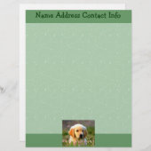 Austin The Golden Labrador Briefhoofd Sjabloon (Voorkant / Achterkant)