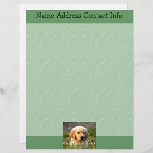 Austin The Golden Labrador Briefhoofd Sjabloon (Voorkant / Achterkant)