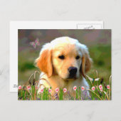 Austin The Golden Labrador Briefkaart (Voorkant / Achterkant)