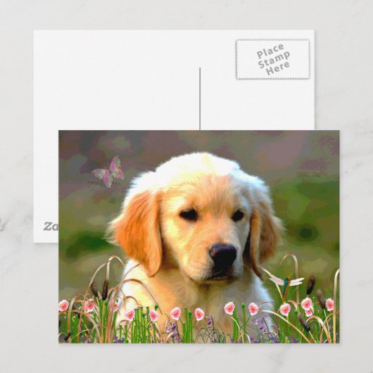 Austin The Golden Labrador Briefkaart (Voorkant / Achterkant)
