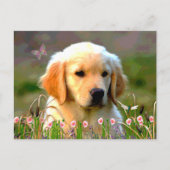 Austin The Golden Labrador Briefkaart (Voorkant)