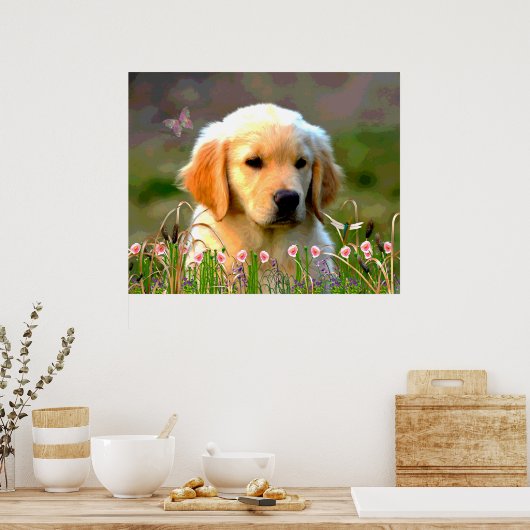 Austin The Golden Labrador Poster (Keuken)