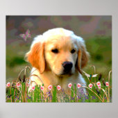Austin The Golden Labrador Poster (Voorkant)