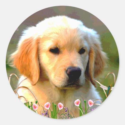 Austin The Golden Labrador Ronde Sticker (Voorkant)