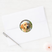Austin The Golden Labrador Ronde Sticker (Envelop)