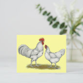 Austra White Chickens Briefkaart (Staand voorkant)
