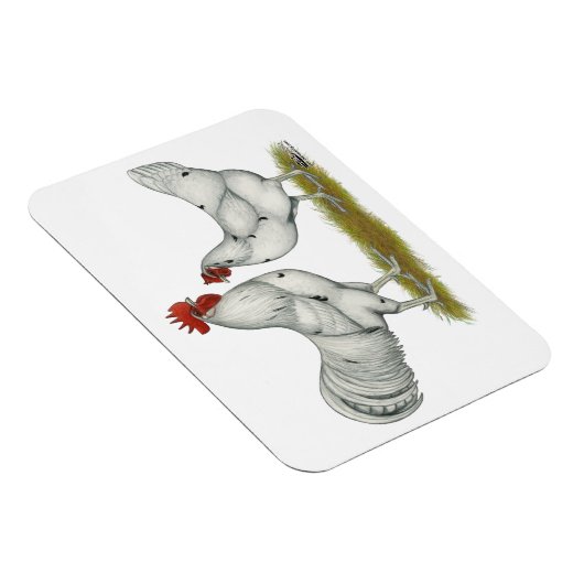 Austra White Chickens Magneet (Rechterzijde)