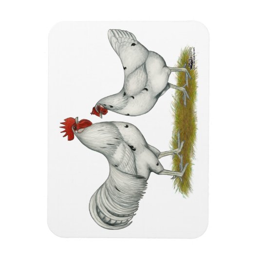 Austra White Chickens Magneet (Verticaal)