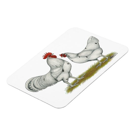 Austra White Chickens Magneet (Linkerzijde)