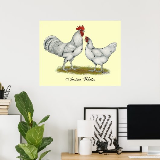 Austra White Chickens Poster (Thuiskantoor)