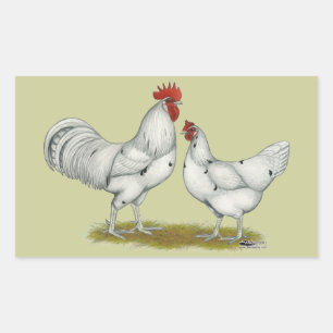 Austra White Chickens Rechthoekige Sticker