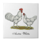 Austra White Chickens Tegeltje (Voorkant)