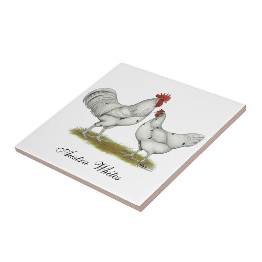 Austra White Chickens Tegeltje (Zijkant)