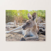 Austrailian Kangaroo Resting Legpuzzel (Horizontaal)
