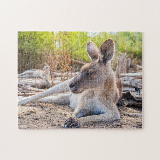 Austrailian Kangaroo Resting Legpuzzel (Horizontaal)
