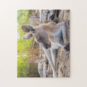 Austrailian Kangaroo Resting Legpuzzel (Verticaal)