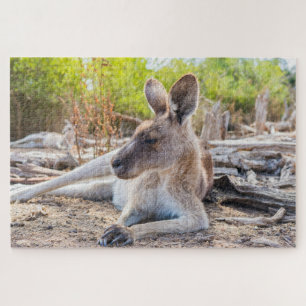 Austrailian Kangaroo Resting Legpuzzel