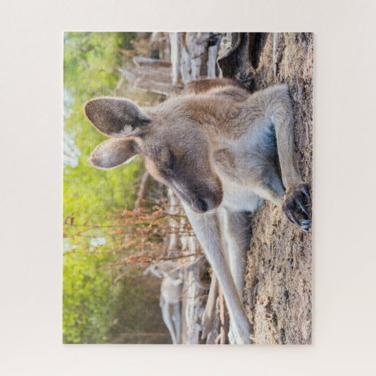 Austrailian Kangaroo Resting Legpuzzel (Verticaal)