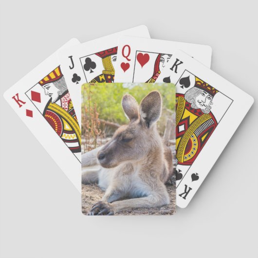 Austrailian Kangaroo Resting Pokerkaarten (Achterkant)