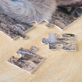 Austrailian KangarooLaying Down Resting Legpuzzel (Zijkant)