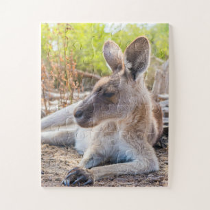 Austrailian KangarooLaying Down Resting Legpuzzel