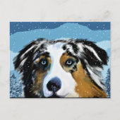 AUSTRALAN SHEPHERD   BRIEFKAART (Voorkant)