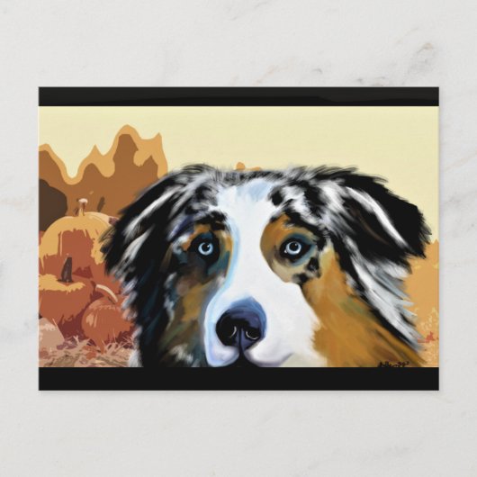 AUSTRALAN SHEPHERD BRIEFKAART (Voorkant)