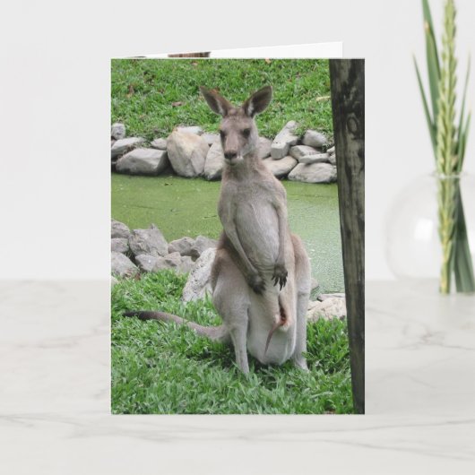 Australia Beckons - Kangaroo Birthday Kaart (Voorkant)