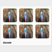 Australia Cassowary Bird Vierkante Sticker (Vel)