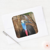 Australia Cassowary Bird Vierkante Sticker (Envelop)