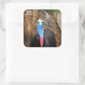 Australia Cassowary Bird Vierkante Sticker (Tas)