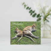 Australia Cute Wallaby Briefkaart (Staand voorkant)