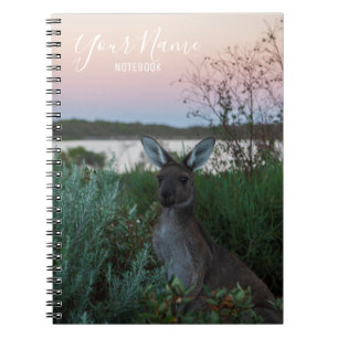 Australia Kangaroo Animal Wildlife Sunset Natuur Notitieboek