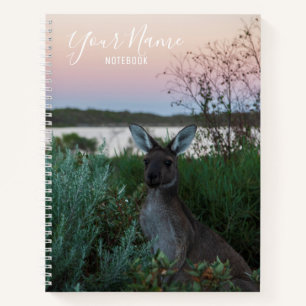 Australia Kangaroo Animal Wildlife Sunset Natuur Notitieboek