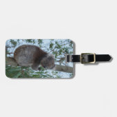 Australia Kangaroo Island Cute Koala in een boom Bagagelabel (Voorkant horizontaal)