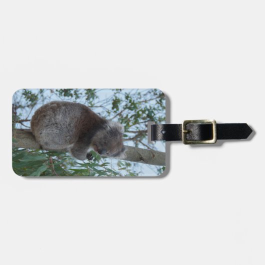 Australia Kangaroo Island Cute Koala in een boom Bagagelabel (Voorkant horizontaal)