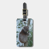 Australia Kangaroo Island Cute Koala in een boom Bagagelabel (Voorkant verticaal)