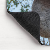 Australia Kangaroo Island Cute Koala in een boom Muismat (Hoek)