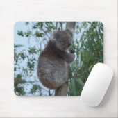 Australia Kangaroo Island Cute Koala in een boom Muismat (Met muis)