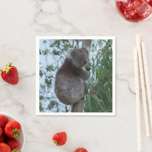 Australia Kangaroo Island Cute Koala in een boom Servet