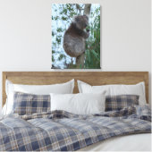 Australia Kangaroo Island Koala in a Tree Canvas Afdruk (Insitu (Slaapkamer))