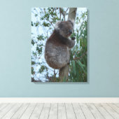 Australia Kangaroo Island Koala in a Tree Canvas Afdruk (Insitu (Houten vloer))