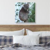 Australia Kangaroo Island Koala in een boom Canvas Afdruk (Insitu (Slaapkamer))